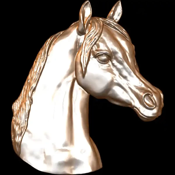 Arabian Horse Head
